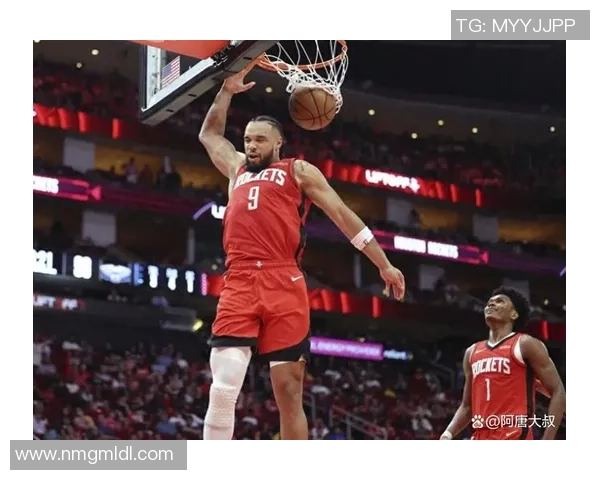 2019年1月30日鹈鹕与火箭精彩对决全场录像回放及赛后分析